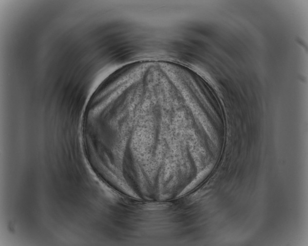 X0000091651440200709131442