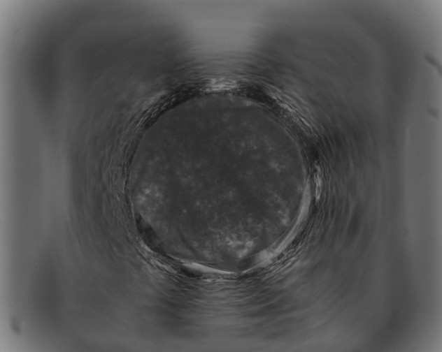 X0000091651441200709131441