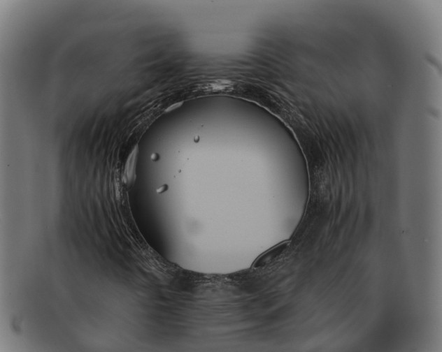 X0000091651442200709131441