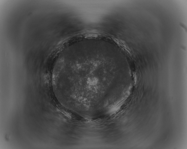 X0000091651445200709131441