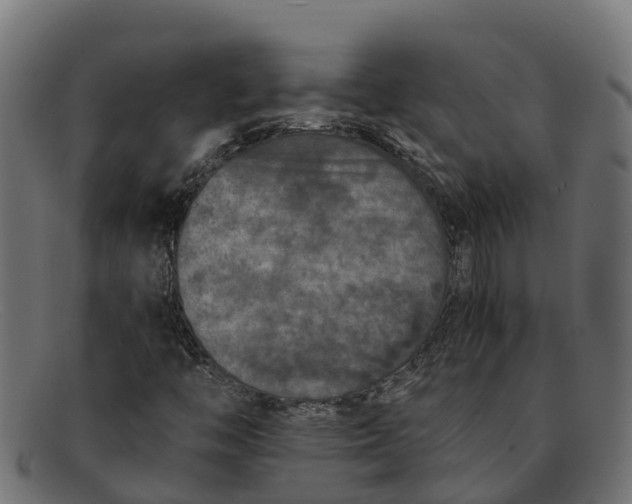 X0000091651446200709131441