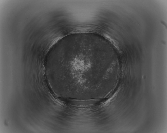 X0000091651449200709131441