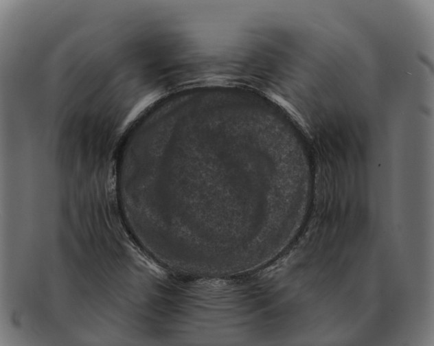 X0000091651450200709131441