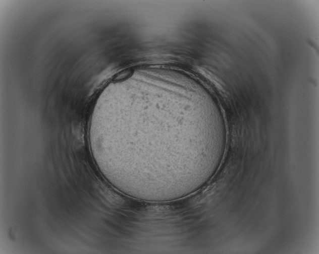 X0000091651451200709131441