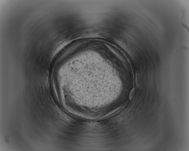 X0000091651452200709131441