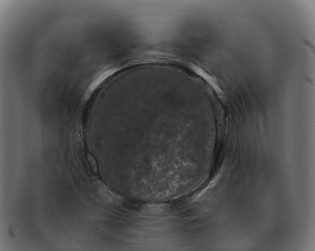 X0000091651453200709131441