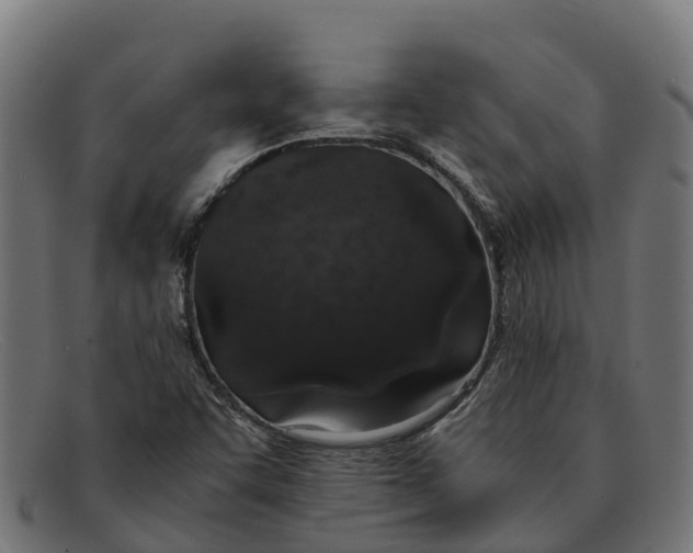 X0000091651455200709131441