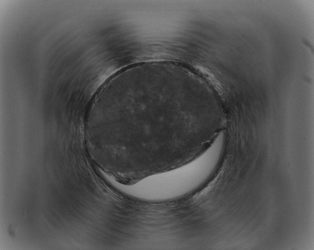 X0000091651457200709131441