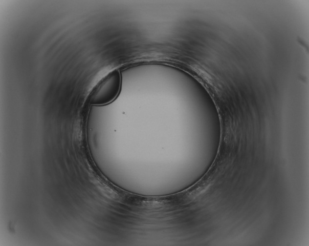 X0000091651458200709131441