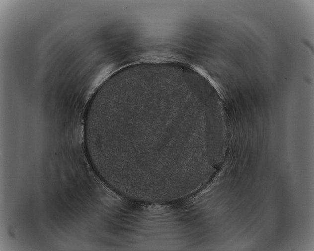 X0000091651459200709131441