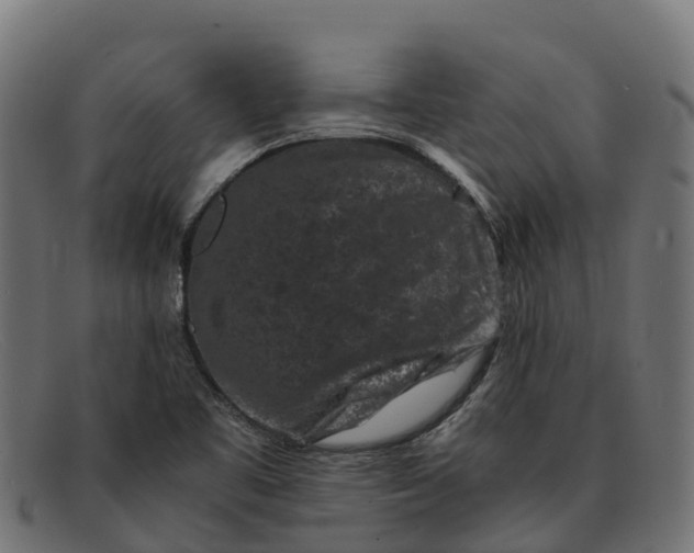 X0000091651461200709131441