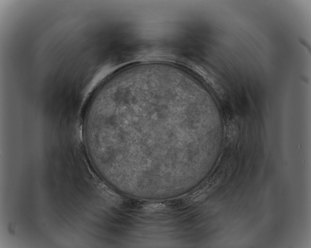 X0000091651462200709131441