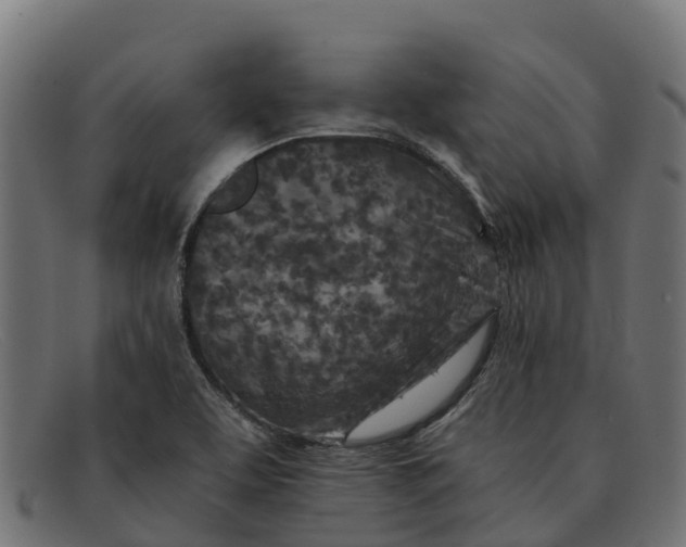 X0000091651463200709131441