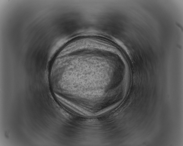 X0000091651464200709131441