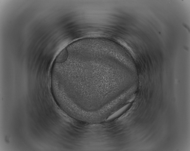 X0000091651467200709131441