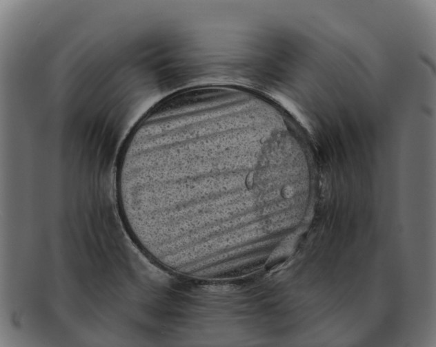 X0000091651468200709131441