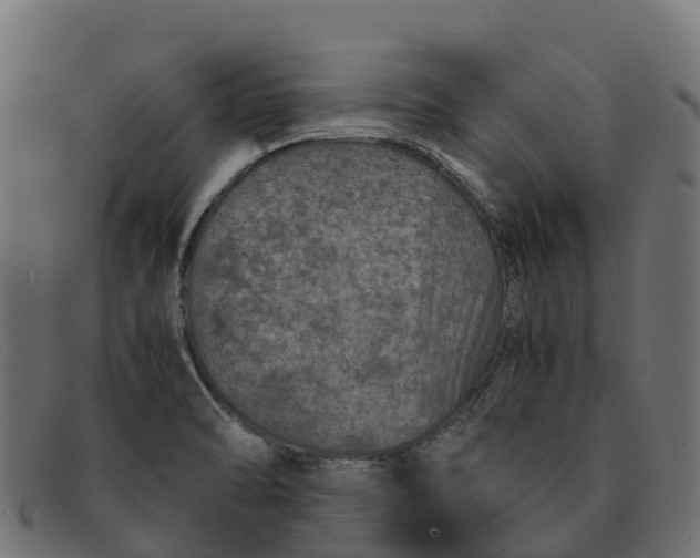 X0000091651470200709131441