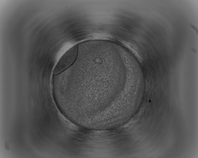 X0000091651471200709131441