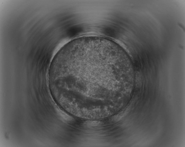 X0000091651474200709131441