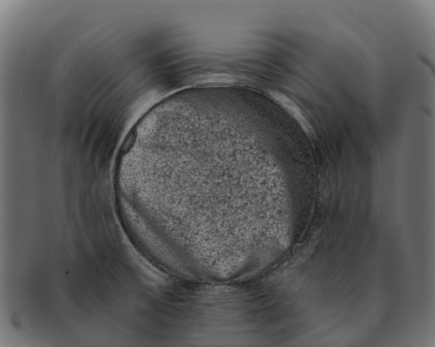 X0000091651475200709131441