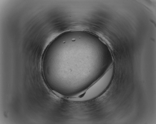 X0000091651477200709131441