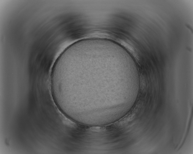 X0000091651478200709131441