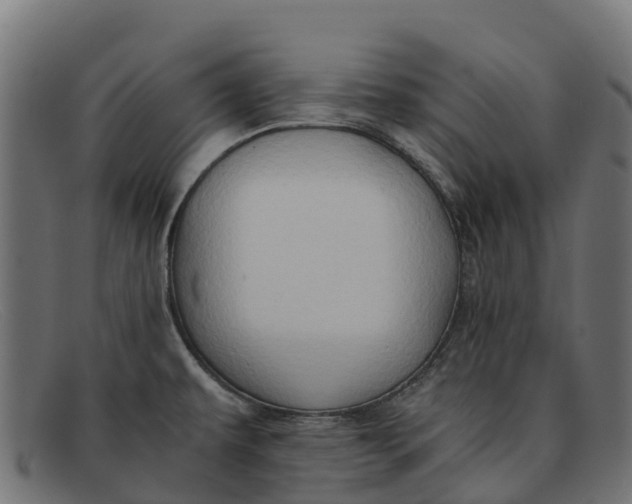 X0000091651479200709131441