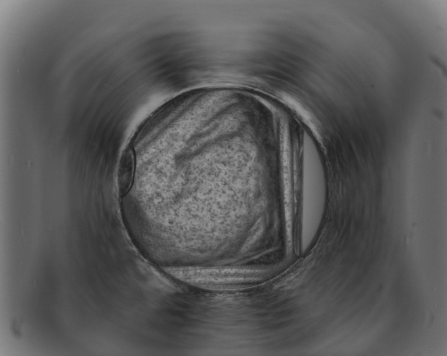 X0000091651480200709131441