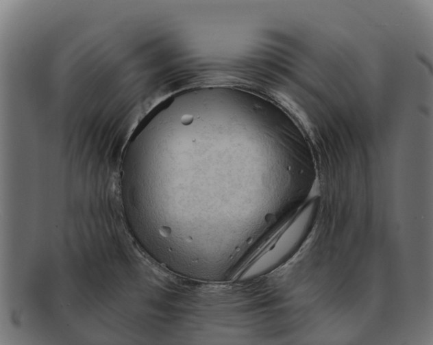 X0000091651481200709131441