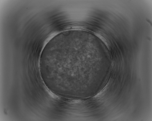 X0000091651482200709131441