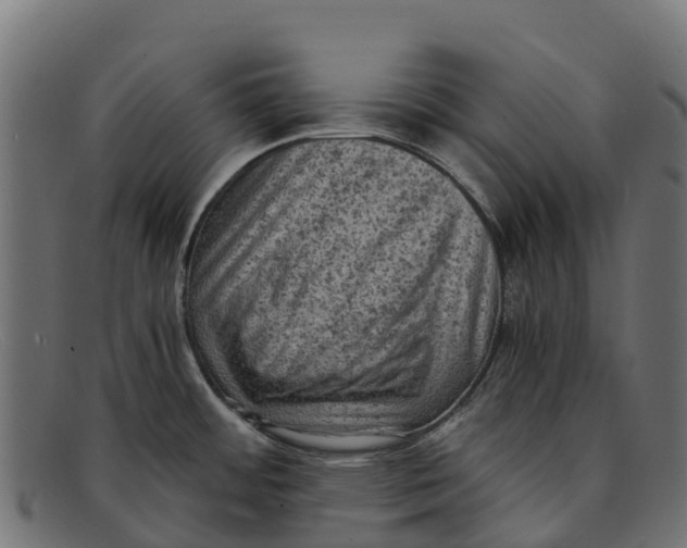 X0000091651484200709131441