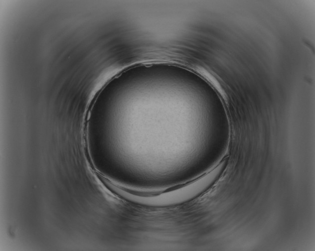 X0000091651485200709131441