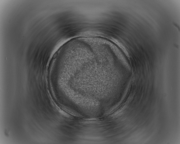 X0000091651486200709131441