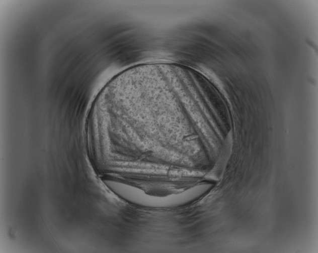 X0000091651488200709131440