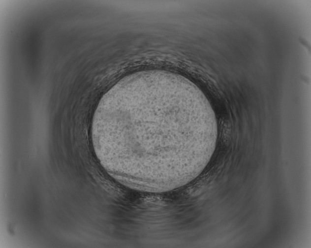 X0000091651489200709131440