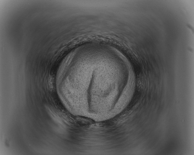 X0000091651490200709131440