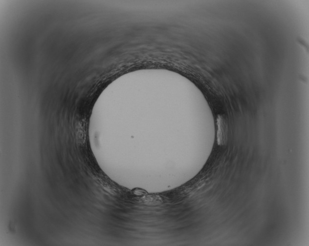 X0000091651491200709131440