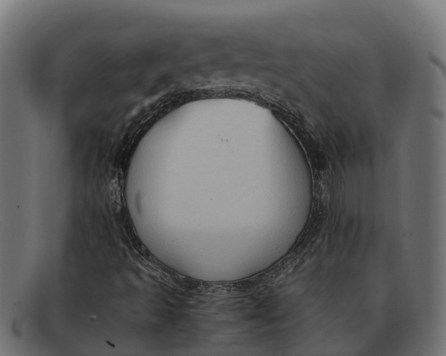 X0000091651493200709131440