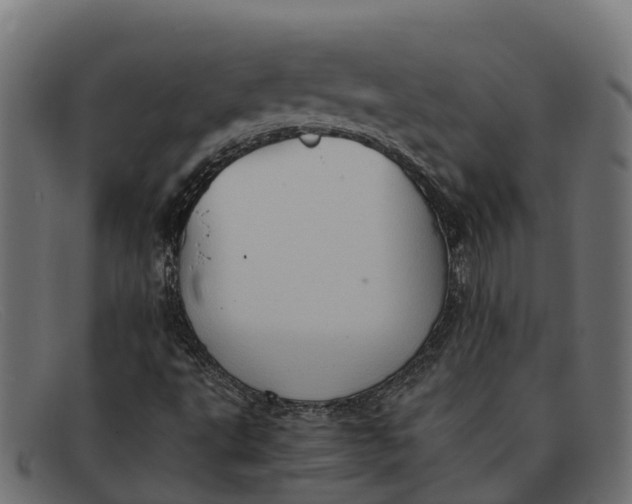 X0000091651495200709131440