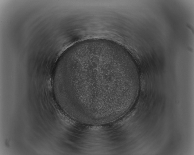 X0000091651497200709131440