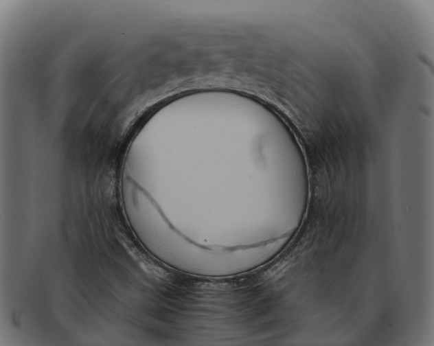 X0000091651499200709131440