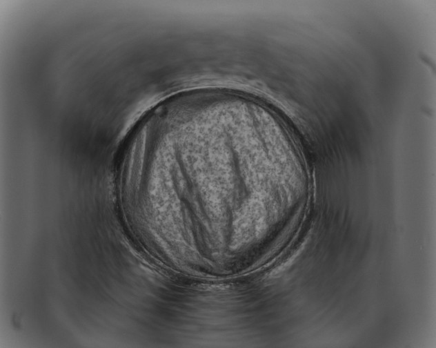 X0000091651501200709131440