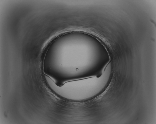 X0000091651502200709131440