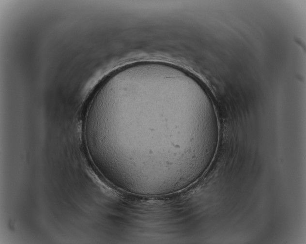 X0000091651503200709131440