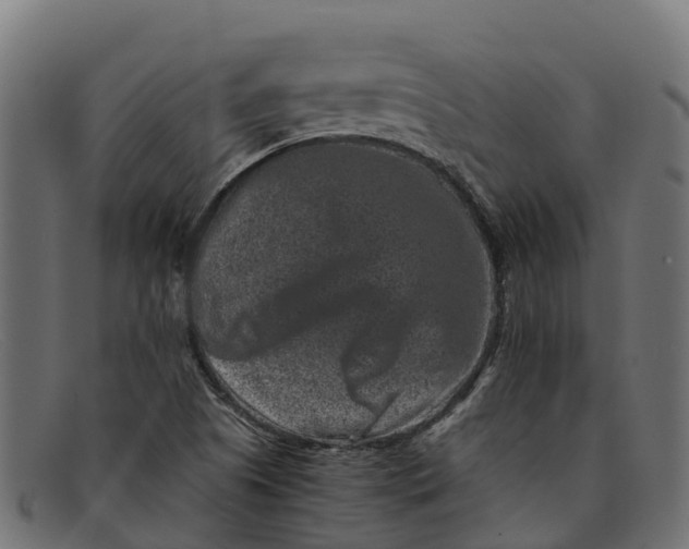 X0000091651505200709131440