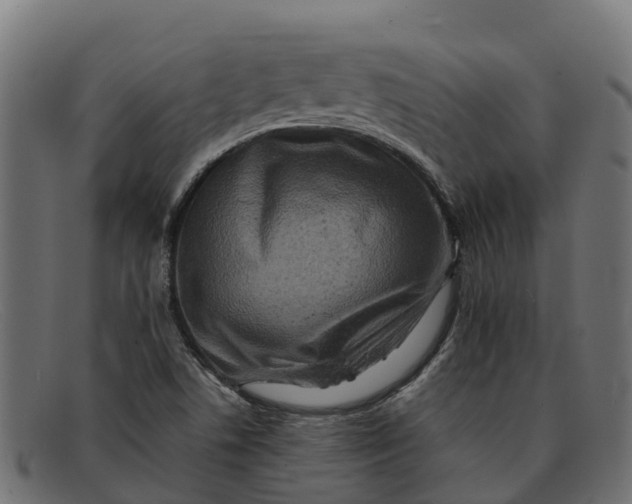 X0000091651506200709131440