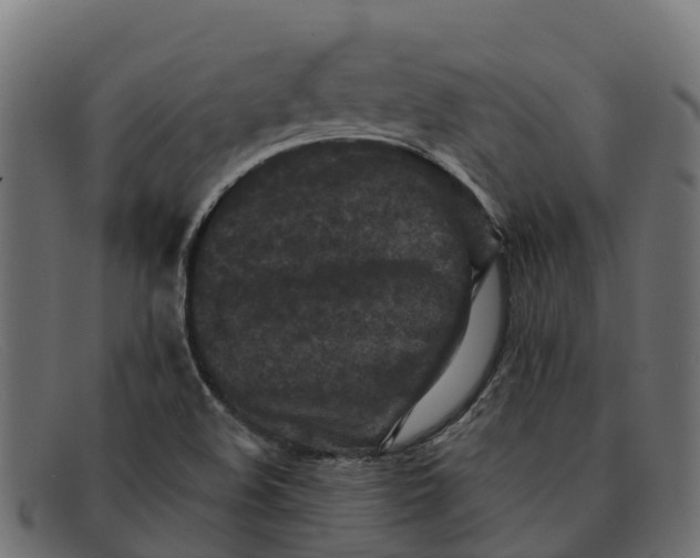 X0000091651508200709131440