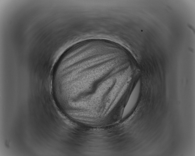 X0000091651511200709131440