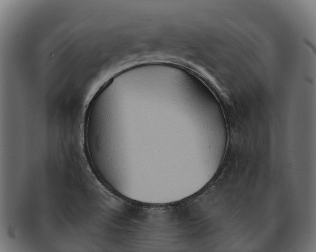 X0000091651512200709131440