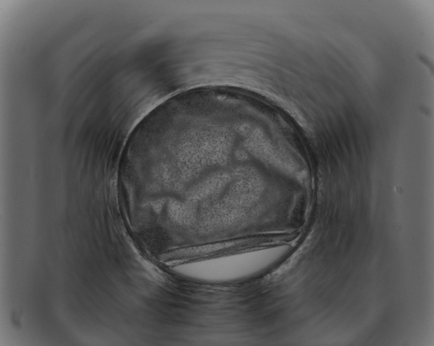 X0000091651513200709131440